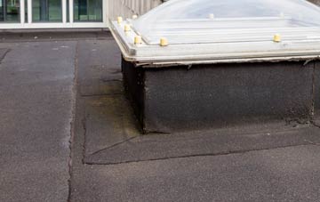 disadvantages of Tre Taliesin flat roofs